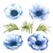 Painted Watercolor Anemone Flower. Blue wedding anemone illustration