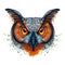 Painted watercolor picture of a ravenous night owl bird on a white background with red orange eyes with bright colors