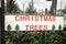 A painted white, red and green Christmas tree sale sign hung on a fence to a parking lot with evergreen fir trees leaning against