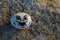 Painted white stone with a happy face