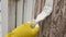 Painter`s hands in rubber gloves soiled in white paint close-up