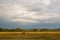 Painterly African Landscape (Kenya) with wildlife