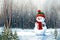 painterly image of the happy snowman with a warm hat and scarf in the winter forest landscape.