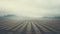 Painterly Lines: Foggy Crop Fields In Flattened Perspective