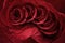 Painterly Rose Swirl