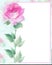 Painterly watercolor Rose blossom Flower copy ready
