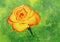 Painting of a beautiful yellowish orange rose