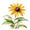 A painting of the Black-Eyed Susan plant. Ai-Generated.