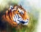 Painting of a bright mighty tiger head on a soft toned abstract