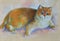 Painting cat british shorthair