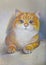 Painting cat british shorthair