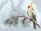 Painting of cockatiel bird on clean background. Bird. Wildlife Animals. Illustration, Generative AI