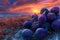 A Painting of a Colorful Sunset Over a Lush Field of Ripe Fruit, A surrealistic interpretation of ripe figs fused with a vibrant