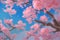 This painting depicts a cherry blossom tree in full bloom. The tree is tall and has a large, spreading canopy. The petals are a