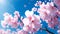 This painting depicts a cherry blossom tree in full bloom. The tree is tall and has a large, spreading canopy. The petals are a