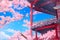 This painting depicts a traditional Japanese house surrounded by cherry blossom trees in full bloom