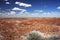 Painting Desert in Petrified Forest NP