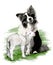 Painting of a dog, Border Collie, hugging a loving lamb, on white background