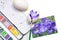 Painting eggs for Easter with spring flowers, white background