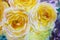 Painting flora art watercolor original illustration yellow color of roses.