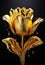 Painting of golden tulip on black.