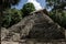 Painting group at archaeological site of Coba, Mexico