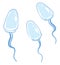 Painting of a group of blue sperms traveling upward, vector or color illustration