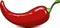 Painting hand drawn red chili pepper on white, vector