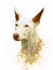 Painting of Ibizan Hound