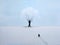 Painting landscape lonely man walking through snow to the great tree in winter season.
