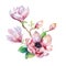 Painting Magnolia flower wallpaper. Hand drawn Watercolor floral