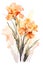 a painting of orange flowers on a white background.Watercolor Painting Sienna Gladiolus, Perfect for Wall Art.