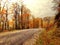 Painting of A path in the forest in autumn.