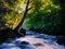 Painting, picture oil painting on a canvas. Landscape, mountain river