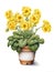 A painting of a potted plant with yellow flowers, primrose flower pot.