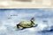 A Painting Of A Turtle Swimming In The Ocean. Generative AI