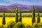 Painting tuscany cypresses landscape field mountains bushes