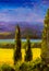 Painting tuscany cypresses landscape field mountains bushes