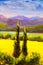 Painting tuscany cypresses landscape field mountains bushes