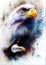 Painting of two eagles one stretching his black wings to fly, on abstract color background.