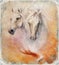 Painting two white horses, vintage abstract background.