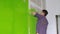 Painting the wall in a bright green color, for example. Cosmetic repair of apartments, painting walls
