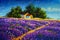 painting warm old rural house farmhouse in the purple lavender field