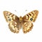 painting of watercolour speckled wood butterfly clipart