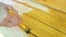 Painting a wooden bench with protective weather-resistant paint. The woman`s hand applies a yellow impregnation with a