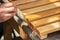 Painting wooden furniture with varnish. a man hides a tree with varnish.