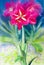 Paintings watercolor landscape original on paper colorful of Amaryllis.