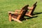 Pair of Adirondack Chairs in a Lawn