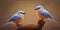 A pair of animated lovebirds joyfully expressing affection and warmth in a delightful 3D cartoon style