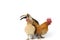 A pair of bantam chickens or Ayam kate is any small variety of fowl, especially chickens